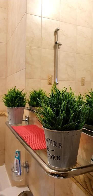 Апартаменты Sunny appartment Konik-27